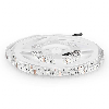 Striscia LED RGB 60led/mt 5050 10.8W/mt strip 5Mt Multicolor 12V No waterproof 10mm 212120