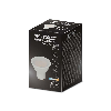 VT-1975 Lampadina Spot LED 4.5W faretto GU10 satinato luce bianco freddo 6400K - 211687