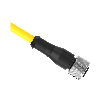 Safety: QDE-5100D Cordset A-Code M12 Single Ended