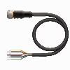 Connettore - per Sensori e attuatori: RKC8.800T-5/TXL Cavo attuatore e Sensore