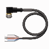 Connettore - per Sensori e attuatori : WKC8T-5/TEL Attuatore e cavo Sensore