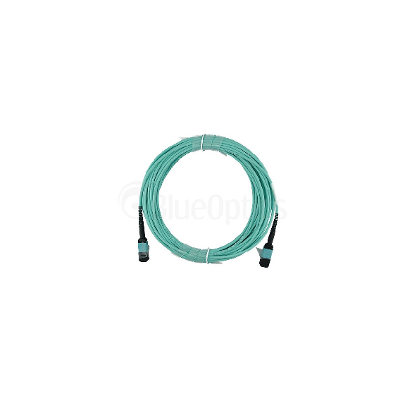 Allied Telesis AT-MTP12-5 compatible MTP-MTP Multimode OM3 Jarretière Optique 5 mètre Allied Telesis AT-MTP12-5 compatible MTP-MTP Multimode OM3 Jarretière Optique 5 mètre-Lire la description