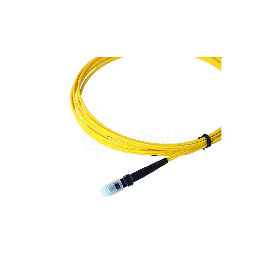 BlueOptics Duplex Jarretière Optique MTRJ-SC Singlemode 3 mètre BlueOptics Duplex Jarretière Optique MTRJ-SC Singlemode 3 mètre-Lire la description