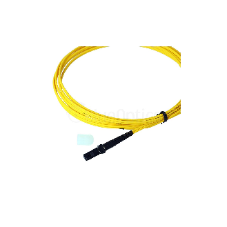 BlueOptics Duplex Jarretière Optique MTRJ-SC Singlemode 3 mètre-Lire la description