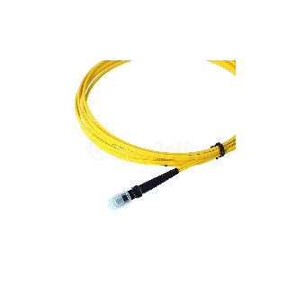 BlueOptics Duplex Jarretière Optique MTRJ-SC Singlemode 3 mètre-Lire la description