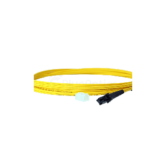 BlueOptics Duplex Jarretière Optique MTRJ-MTRJ Singlemode 3 mètre-Lire la description