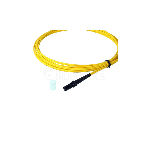 BlueOptics Duplex Jarretière Optique MTRJ-MTRJ Singlemode 3 mètre BlueOptics Duplex Jarretière Optique MTRJ-MTRJ Singlemode 3 mètre-Lire la description
