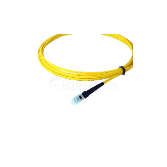 BlueOptics Duplex Jarretière Optique MTRJ-MTRJ Singlemode 3 mètre-Lire la description