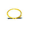 BlueOptics Duplex Jarretière Optique MTRJ-MTRJ Singlemode 3 mètre