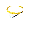 BlueOptics Duplex Jarretière Optique MTRJ-MTRJ Singlemode 3 mètre
