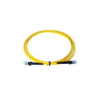 BlueOptics Duplex Jarretière Optique MTRJ-MTRJ Singlemode 3 mètre-Lire la description
