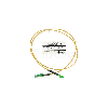 BlueOptics Simplex Jarretière Optique LC-APC/E2000-APC Singlemode 5 mètre