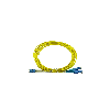 BlueOptics Duplex Jarretière Optique LC-UPC/E2000-UPC Singlemode 30 mètre