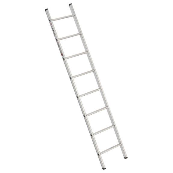 Prime 301 Rung Ladders 8 germes-Lire la description