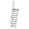 Treppe mit Plattform 60°, Handlauf, 600mm Stufenbreite, 9 Stufen