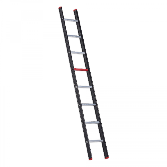 Altrex Nevada Anlegeleiter NZER 1024 8 Sprossen-Beschreibung lesen