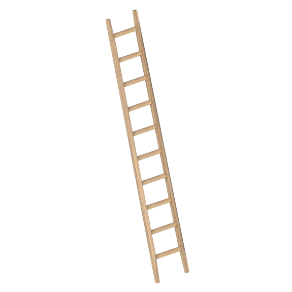 Layher 1036 Bau Holzanlegeleiter 10 Sprossen-Beschreibung lesen