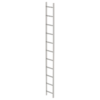 Schachtleiter aus Edelstahl 300mm breit 11 Sprossen 3,08m lang-Beschreibung lesen