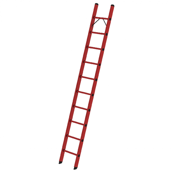 Couche complète de 10 germes-Leer más
