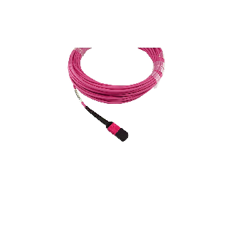 BlueOptics Fibre MPO/4xST Breakout câble OM4 5 mètre-Lire la description