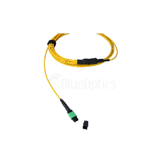 BlueOptics Fibre MPO/8xST Duplex Breakout câble G.657.A1 Singlemode 3 mètre-Lire la description