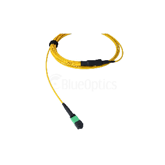 BlueOptics Fibre MPO/8xST Duplex Breakout câble G.657.A1 Singlemode 3 mètre-Lire la description