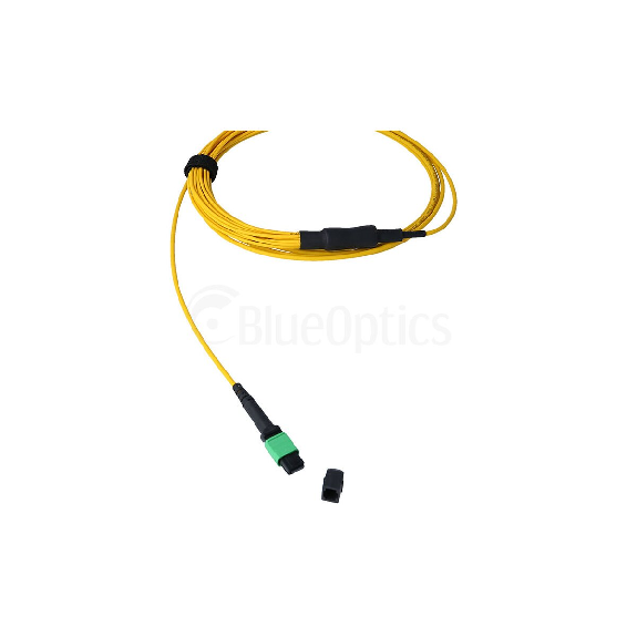 BlueOptics Fibre MPO/8xST Duplex Breakout câble G.657.A1 Singlemode 3 mètre BlueOptics Fibre MPO/8xST Duplex Breakout câble G.657.A1 Singlemode 3 mètre-Lire la description