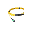 BlueOptics Fibre MPO/8xLC Duplex Breakout câble G.657.A1 Singlemode 3 mètre