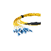 BlueOptics Fibre MPO/8xLC Duplex Breakout câble G.657.A1 Singlemode 3 mètre