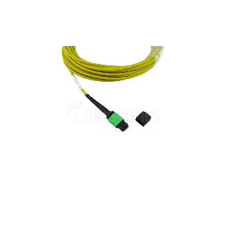 BlueOptics Fibre MTP Trunkcâble Singlemode 12 Fibres 10 mètre Typ B-Lire la description