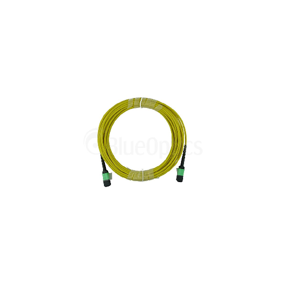 BlueOptics Fibre MTP Trunkcâble Singlemode 12 Fibres 10 mètre Typ B-Lire la description