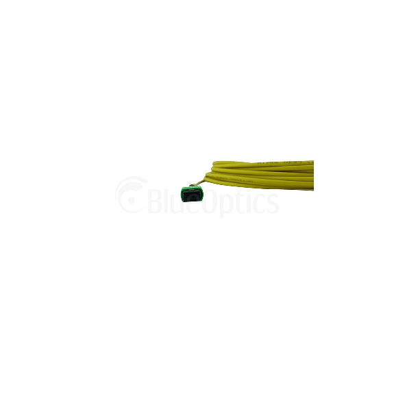 BlueOptics Fibre MTP Trunkcâble Singlemode 12 Fibres 10 mètre Typ B-Lire la description