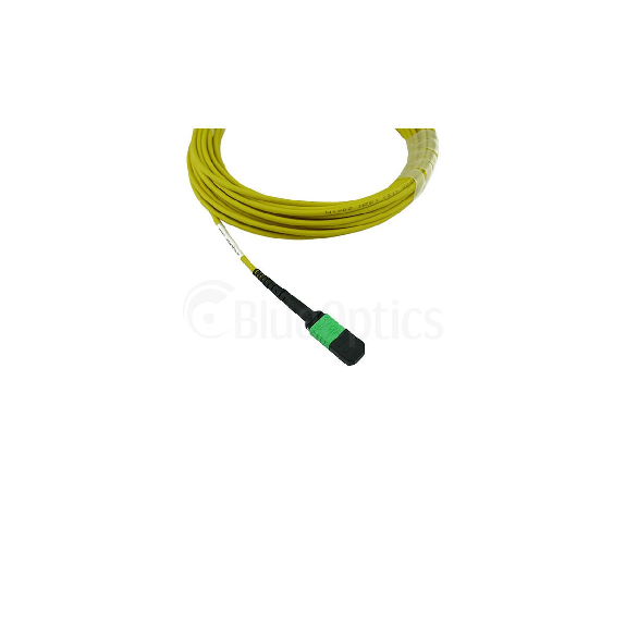 BlueOptics Fibre MTP Trunkcâble Singlemode 12 Fibres 10 mètre Typ B-Lire la description