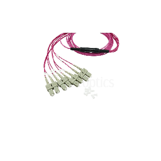 BlueOptics Fibre MTP/4xSC Breakout câble OM4 1 mètre-Lire la description