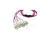 BlueOptics Fibre MTP/4xSC Breakout câble OM4 1 mètre