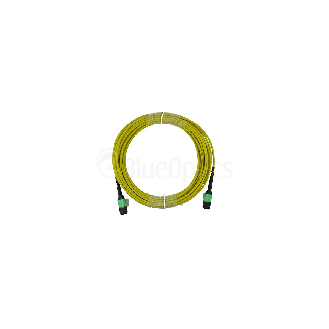 BlueOptics Fibre MPO Trunkcâble Singlemode 12 Fibres 30 mètre Typ B