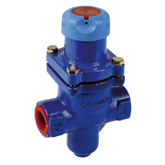 Détendeur de pression en fonte avec étanchéité inox, G1" FF, 210°C, 1,4 à 4 bar-Lire la description