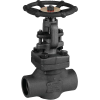 Vannes à soupape à siège droit - Acier - Graphite - 1/2" - Socket weld - PN136 - 2/2 - 425°C