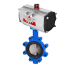 Vanne papillon - LUG - DN100 - PN16 - GN10/16 - GGG40/EPDM/CF8M - Cde pneu. double effet