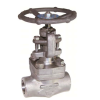 Vannes à soupape à siège droit - Inox - Graphite - DN10  - Socket weld - PN138 - 2/2 - 538°C