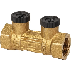 Clapet anti-pollution - Femelle / Femelle Sfer - Filetage: Femelle 2"