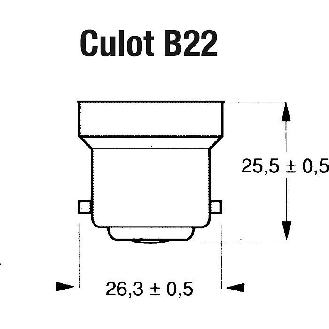 Lampe LED Standard B22  - Puissance (W): 10.5 | Lumen (lm): 1055 | Ø x L (mm): 60 x 109-Lire la description