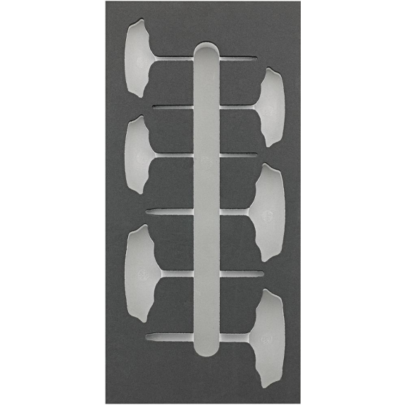 Werkzeugmodul 1/3 leer T-Griff Torx FORTIS-Beschreibung lesen
