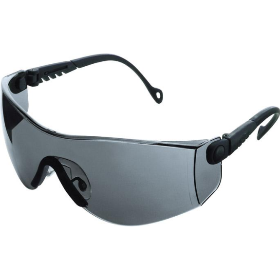 Brille Optema,TSR, getönt, Rahmen schwarz-Beschreibung lesen