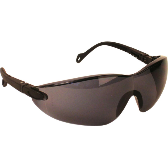 Lunettes Eclipse, PC, teintée / schw.-Leggi tutto