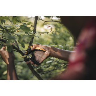 Bypass Gartenschere (P721) Plus PowerLever-Beschreibung lesen