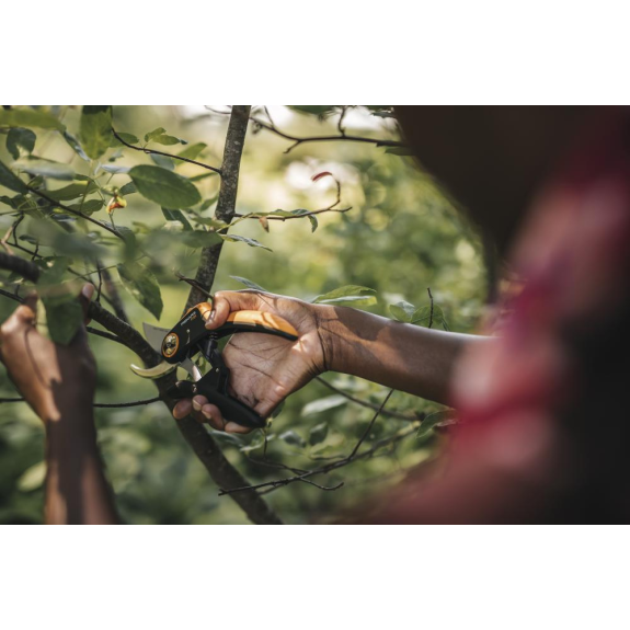 Bypass Gartenschere (P721) Plus PowerLever-Beschreibung lesen