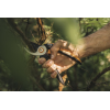 Bypass Gartenschere L (P341) Solid