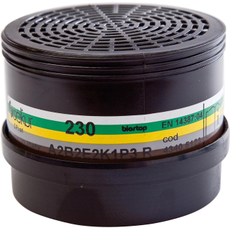 Filter 230A2B2E2K1P3R D f.Polimask 230 (Pck.a1St)-Beschreibung lesen