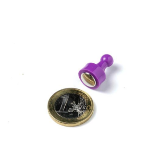 Pion magnétique blanc 12mm x 20mm-Lire la description